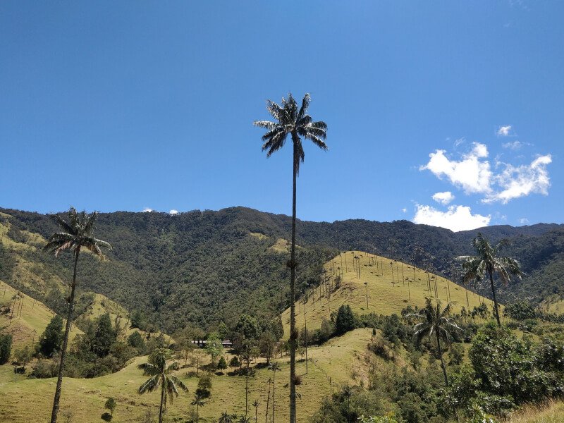 vallée en colombie esprit nomade voyages
